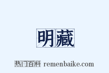 明藏是什么意思的图片